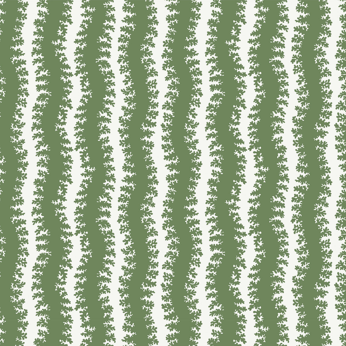Elkhorn Stripe-02