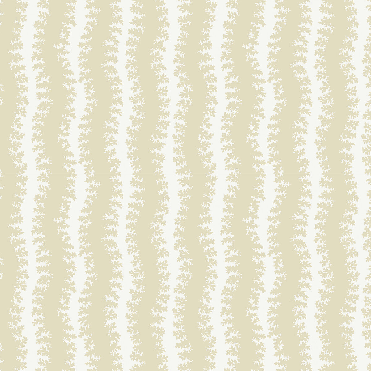 Elkhorn Stripe-03