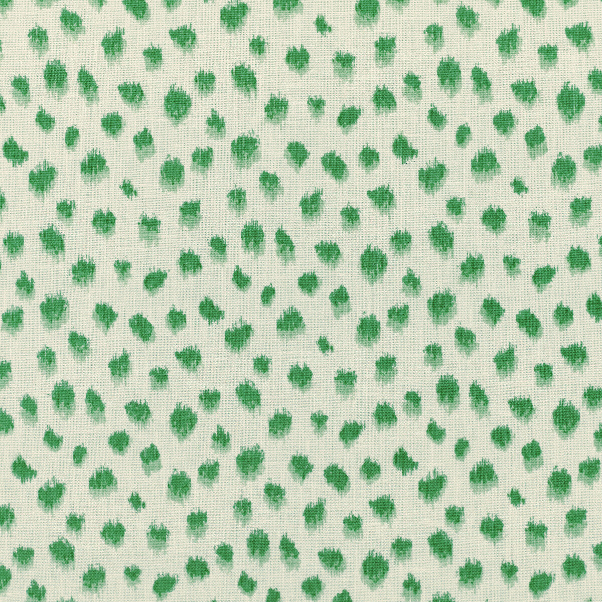 Kravet Basics-Jungleikat-3