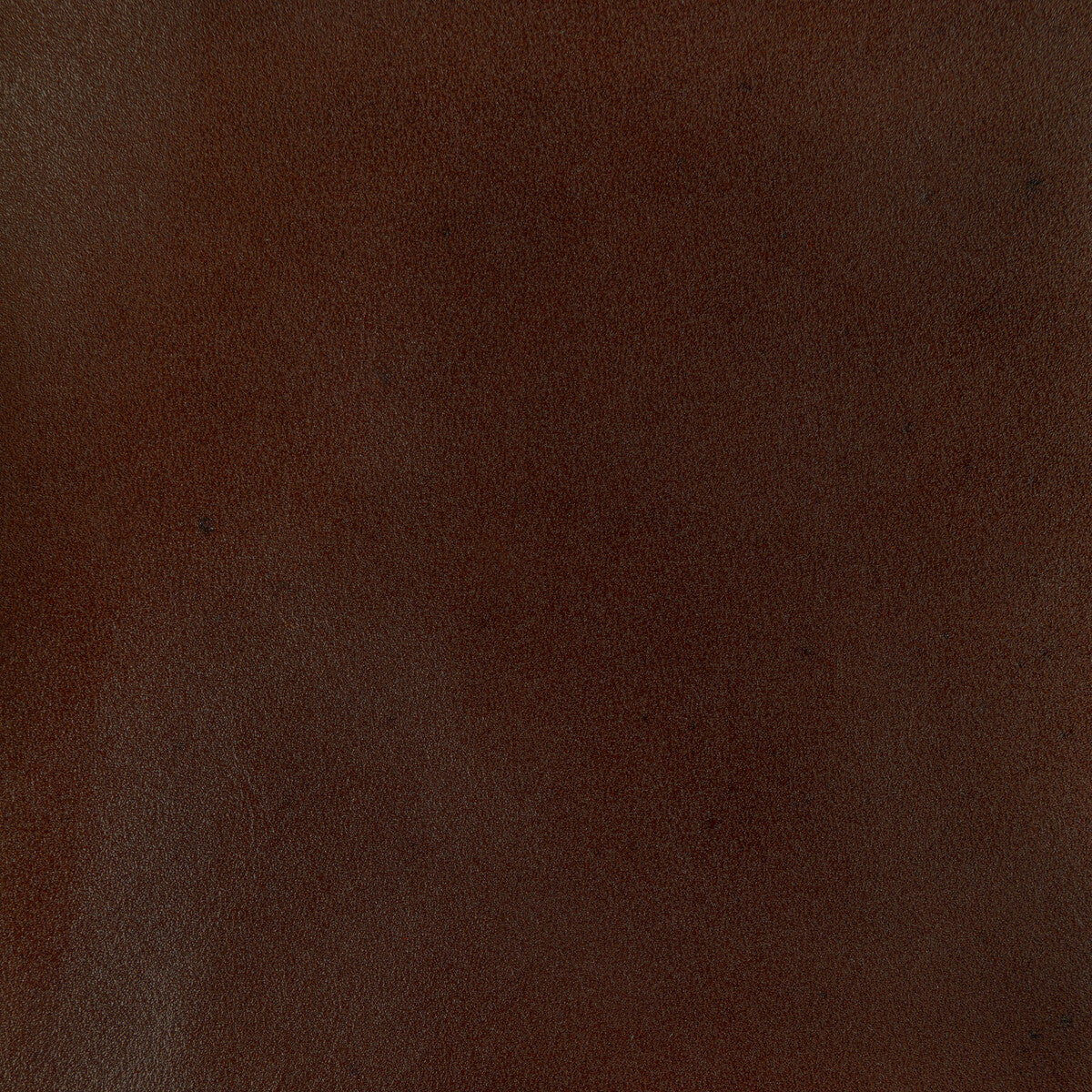 Kravet Design-L-Adobe-Brown