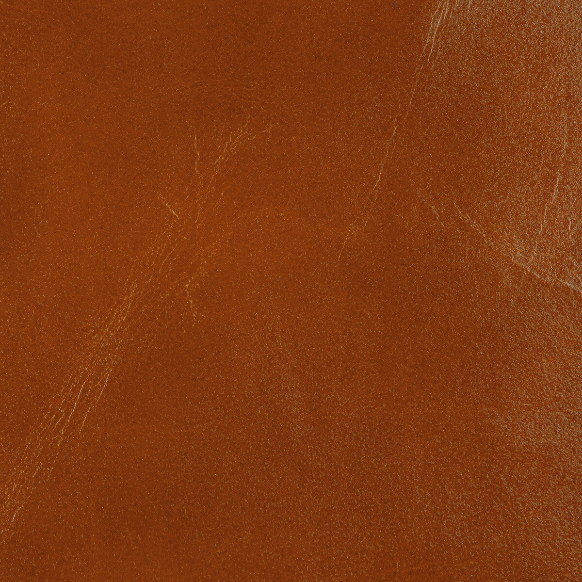 Kravet Design-L-Adobe-Tawny