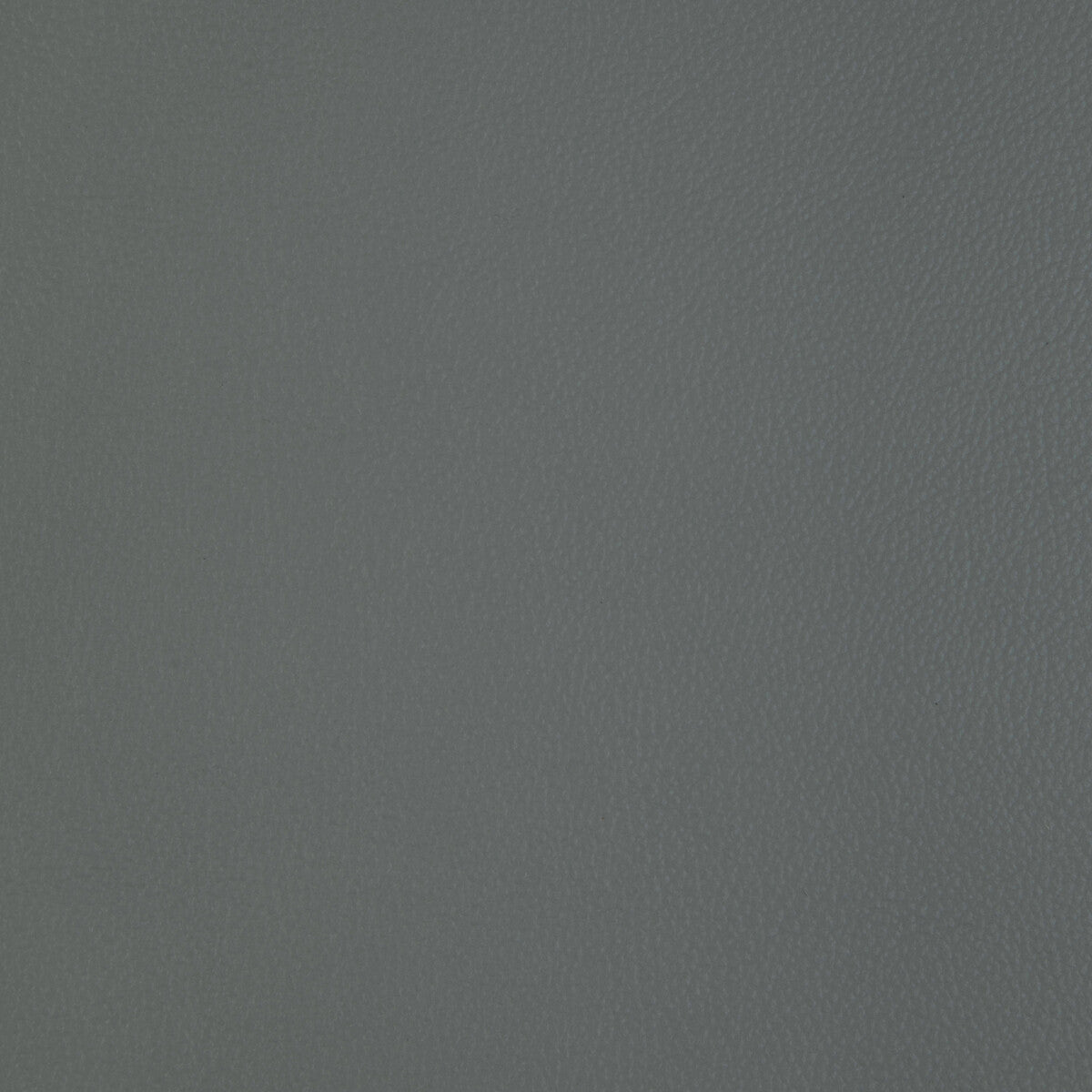 Kravet Design-L-Badger-Ash