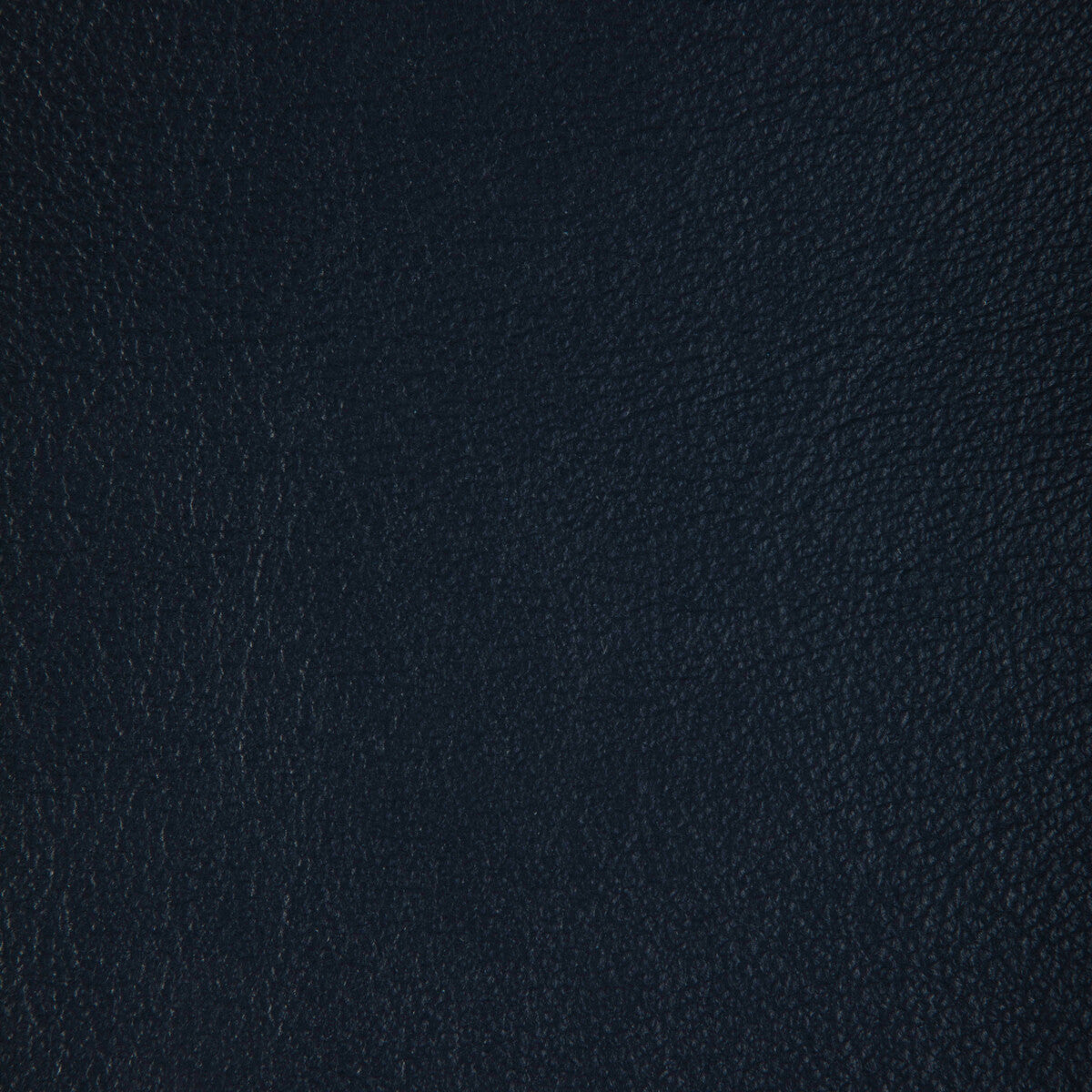 Kravet Design-L-Badger-Astro