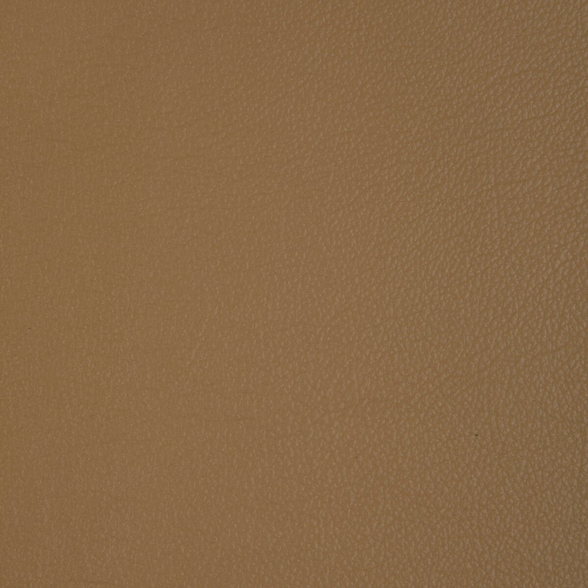 Kravet Design-L-Badger-Camel