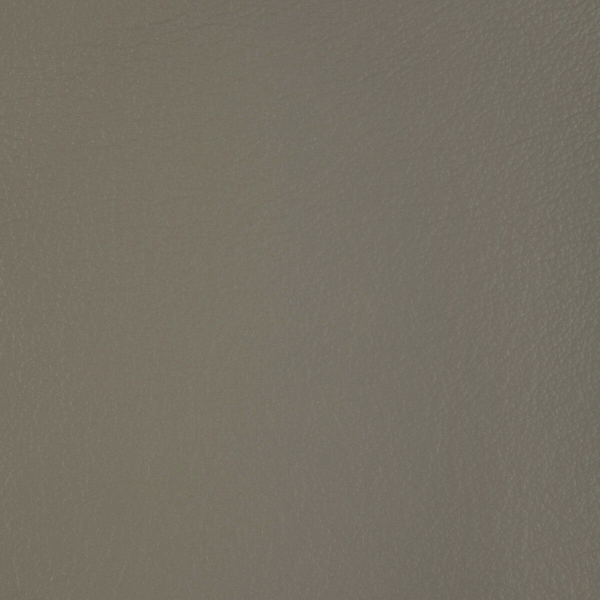 Kravet Design-L-Badger-Dove