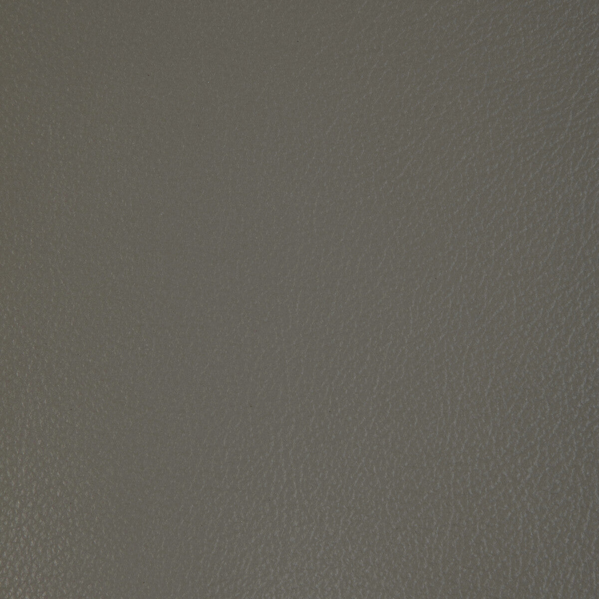 Kravet Design-L-Badger-Smoke