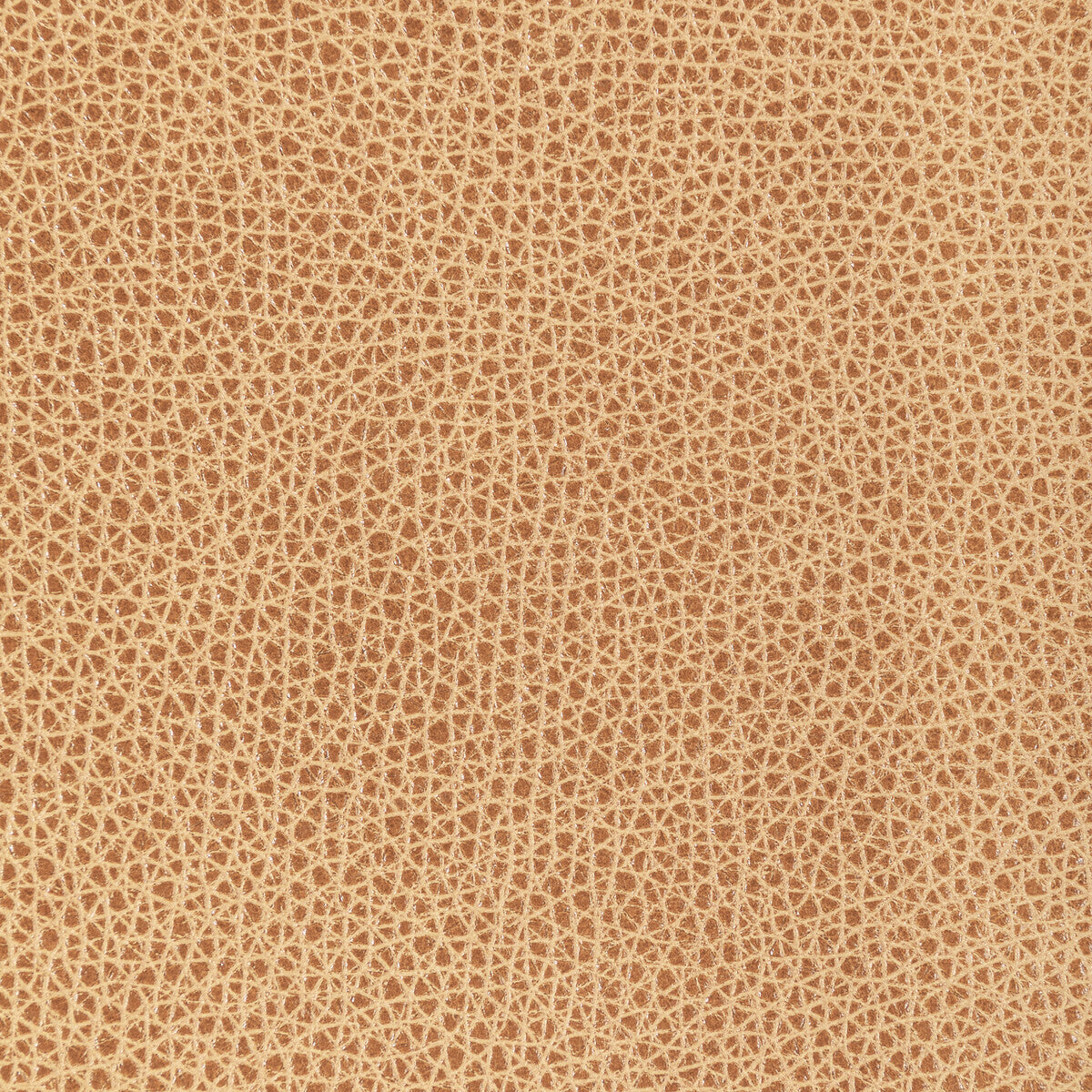Kravet Design-L-Bison-Biscotti