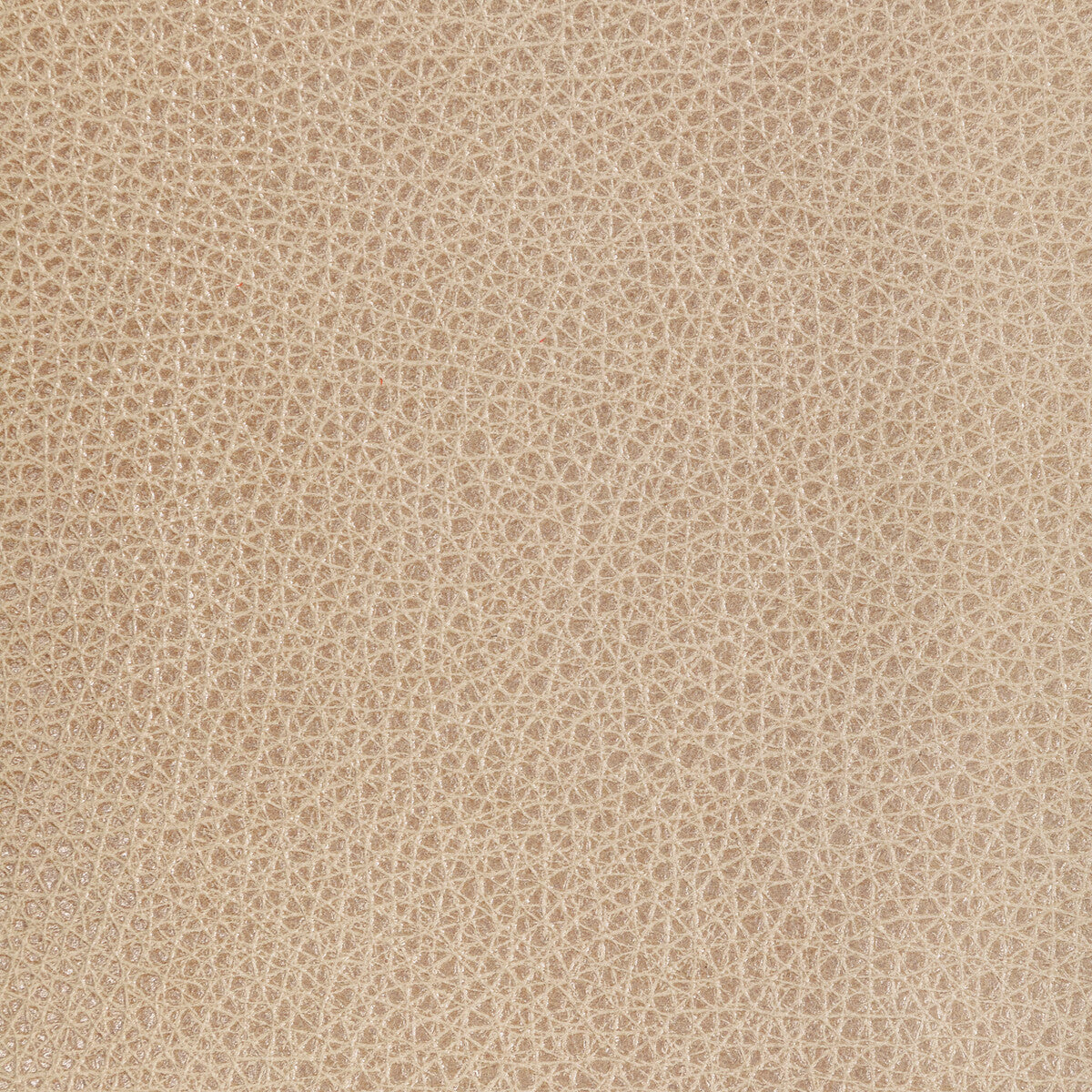 Kravet Design-L-Bison-Oat