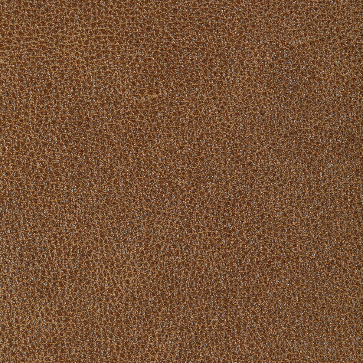 Kravet Design-L-Bison-Pecan