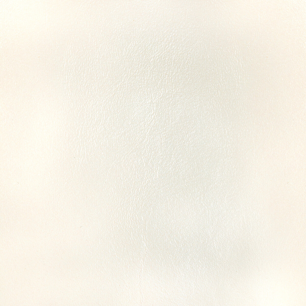 Kravet Design-L-Bota-Ivory