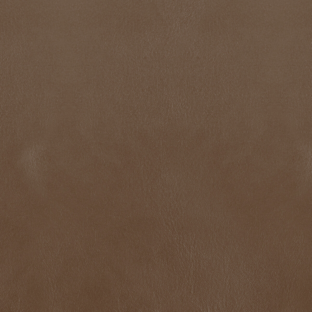 Kravet Design-L-Bota-Jewel