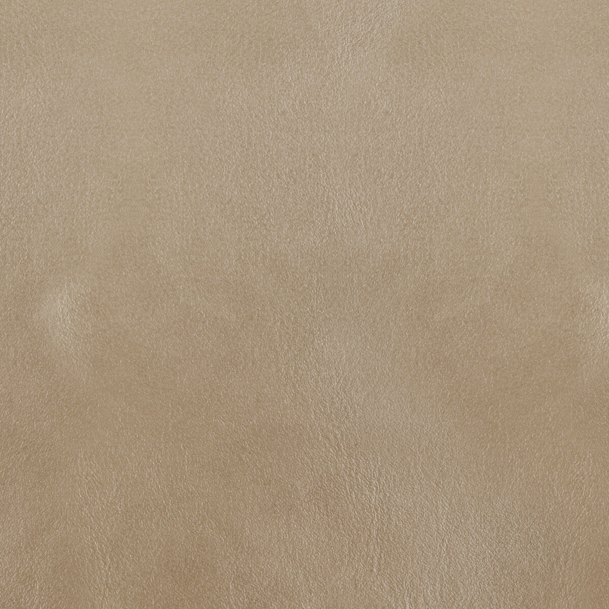 Kravet Design-L-Bota-Mica