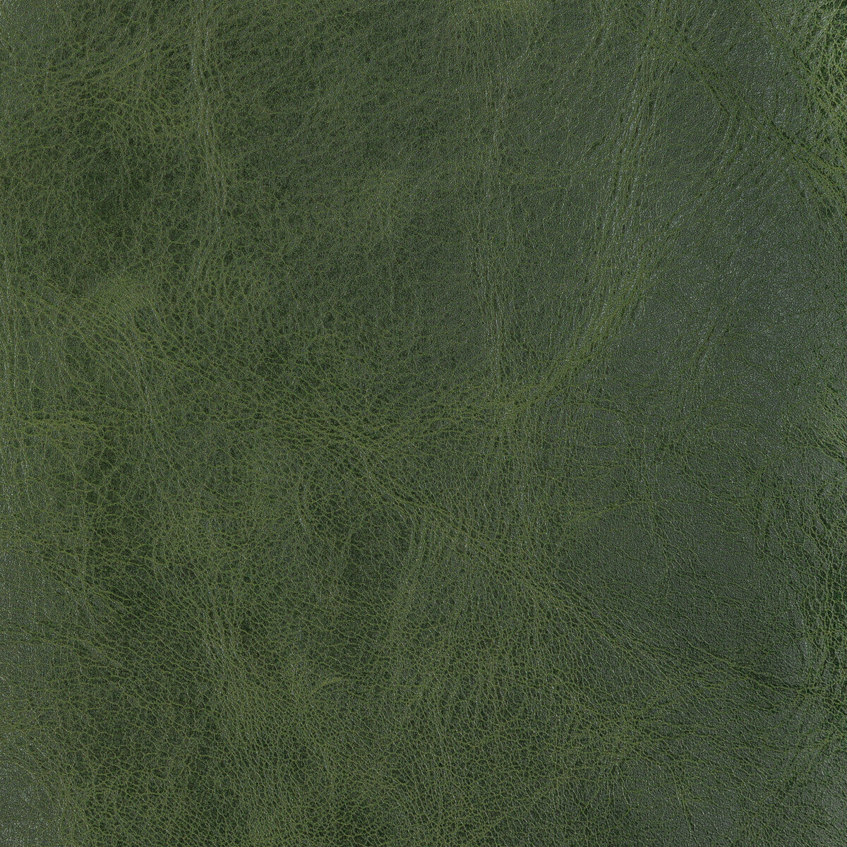 Kravet Design-L-Brantley-Evergreen