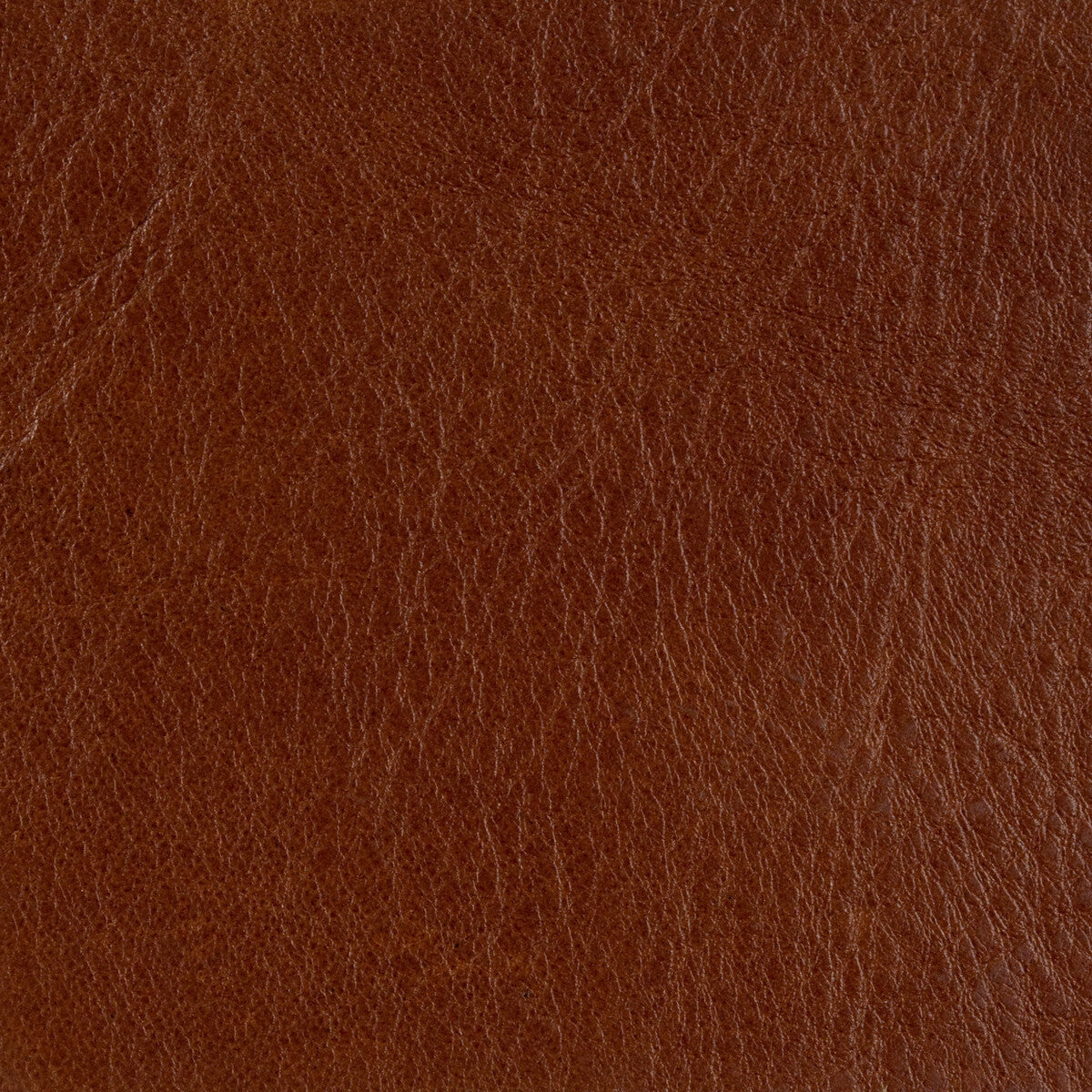 Kravet Couture-L-Brockway-Cocoa