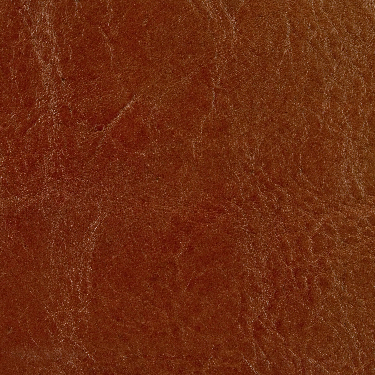 Kravet Couture-L-Brockway-Sierra