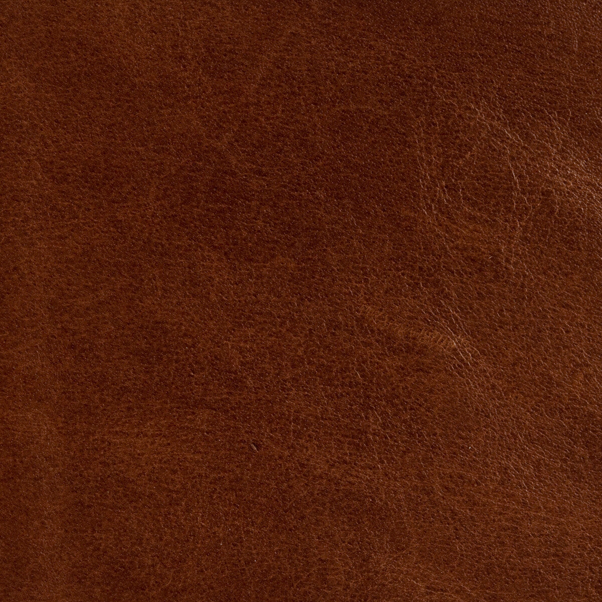 Kravet Couture-L-Brockway-Toffee