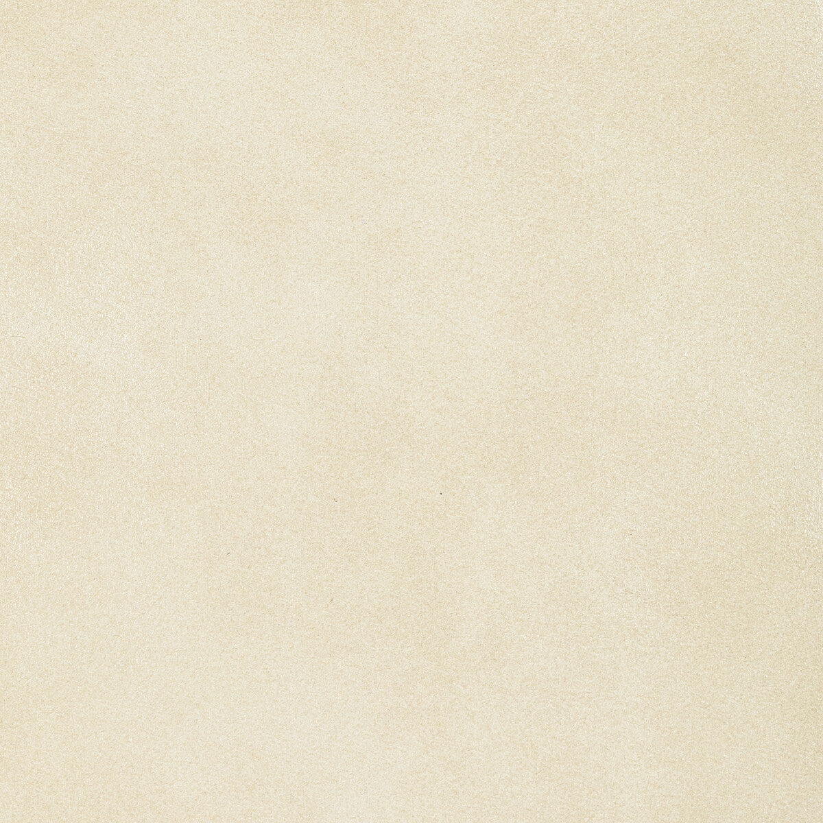 Kravet Design-L-Bronco-Oat