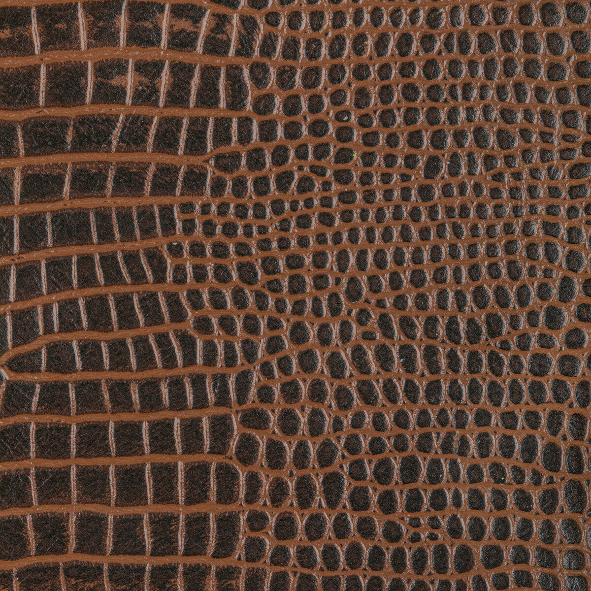 Kravet Design-L-Catan-Cacao