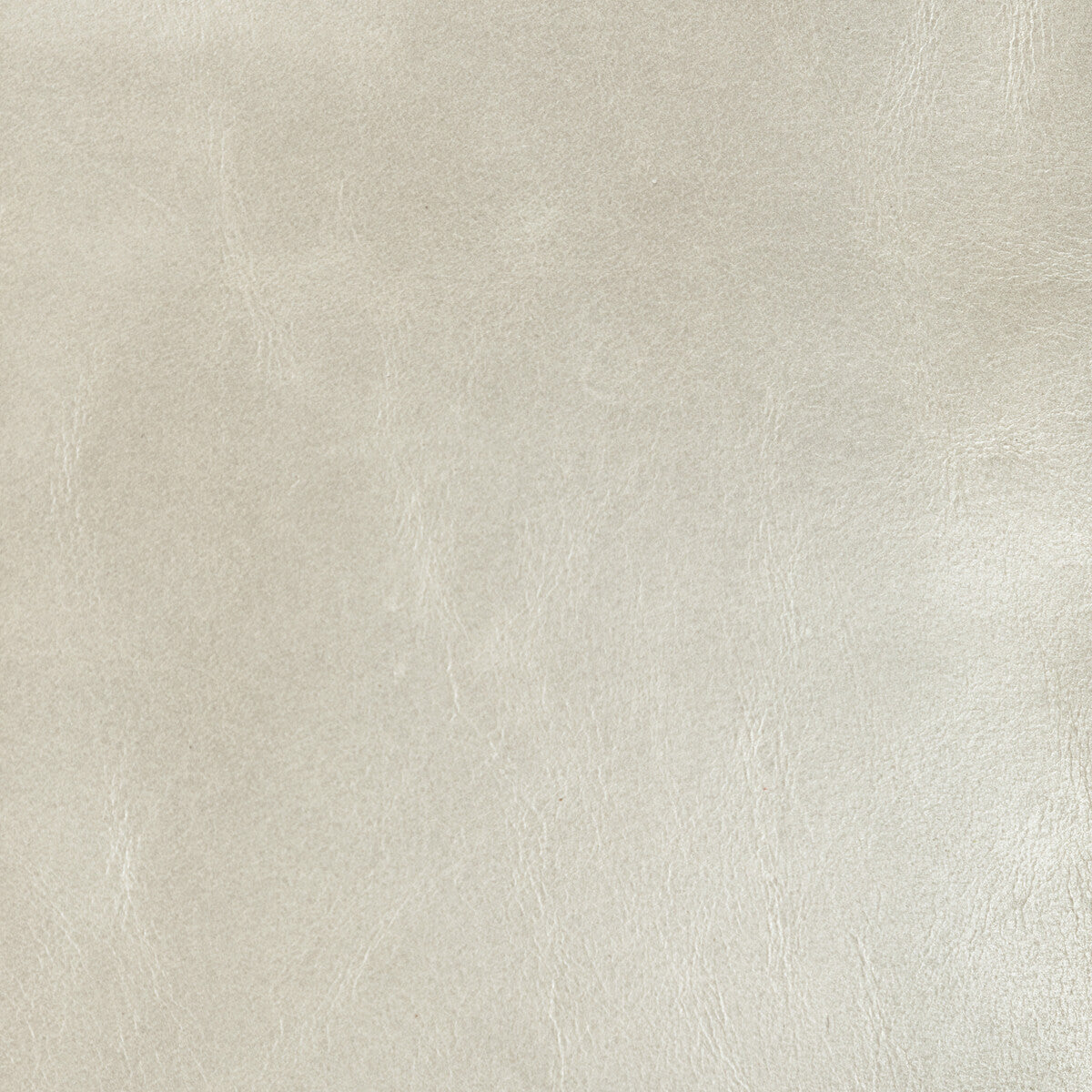 Kravet Design-L-Chantey-Fossil