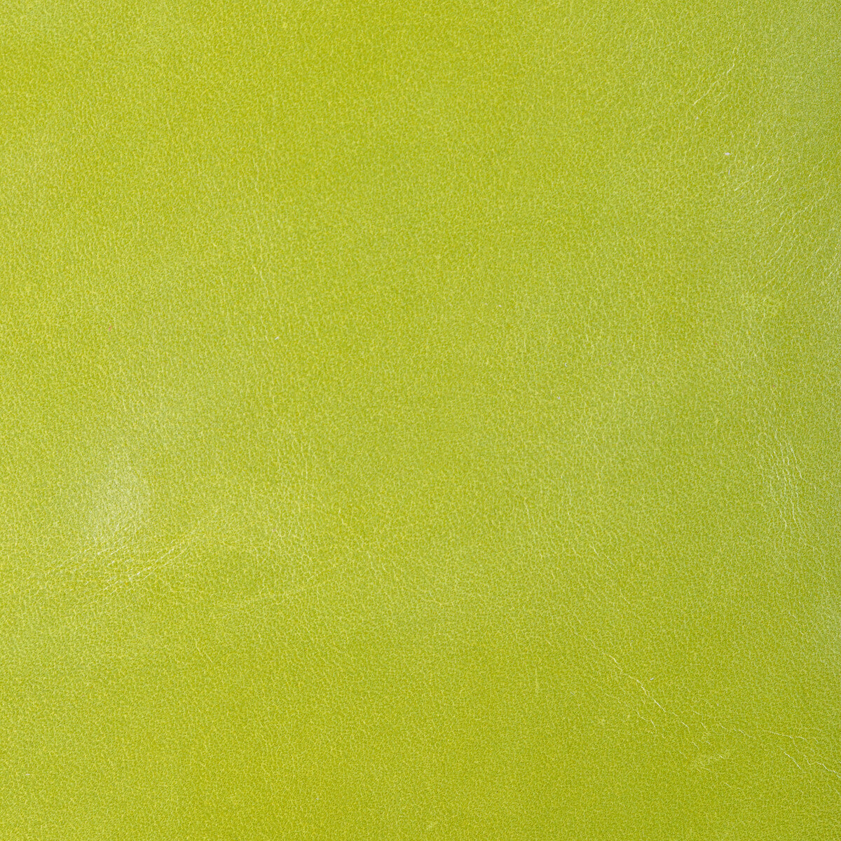 Kravet Design-L-Chantey-Pear