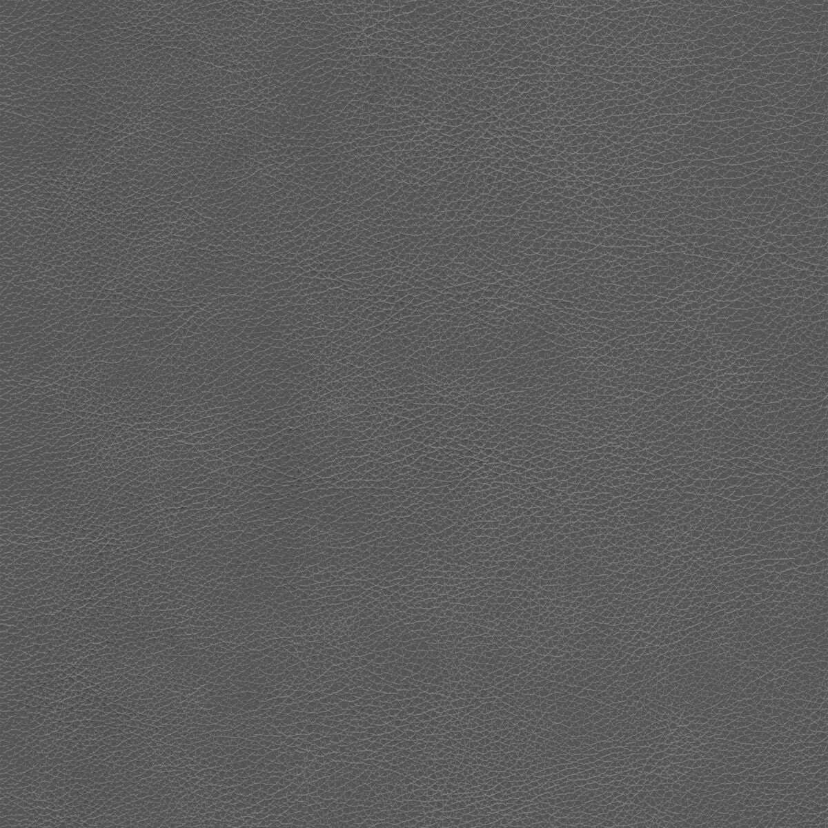 Kravet Design-L-Cimarron-Bark