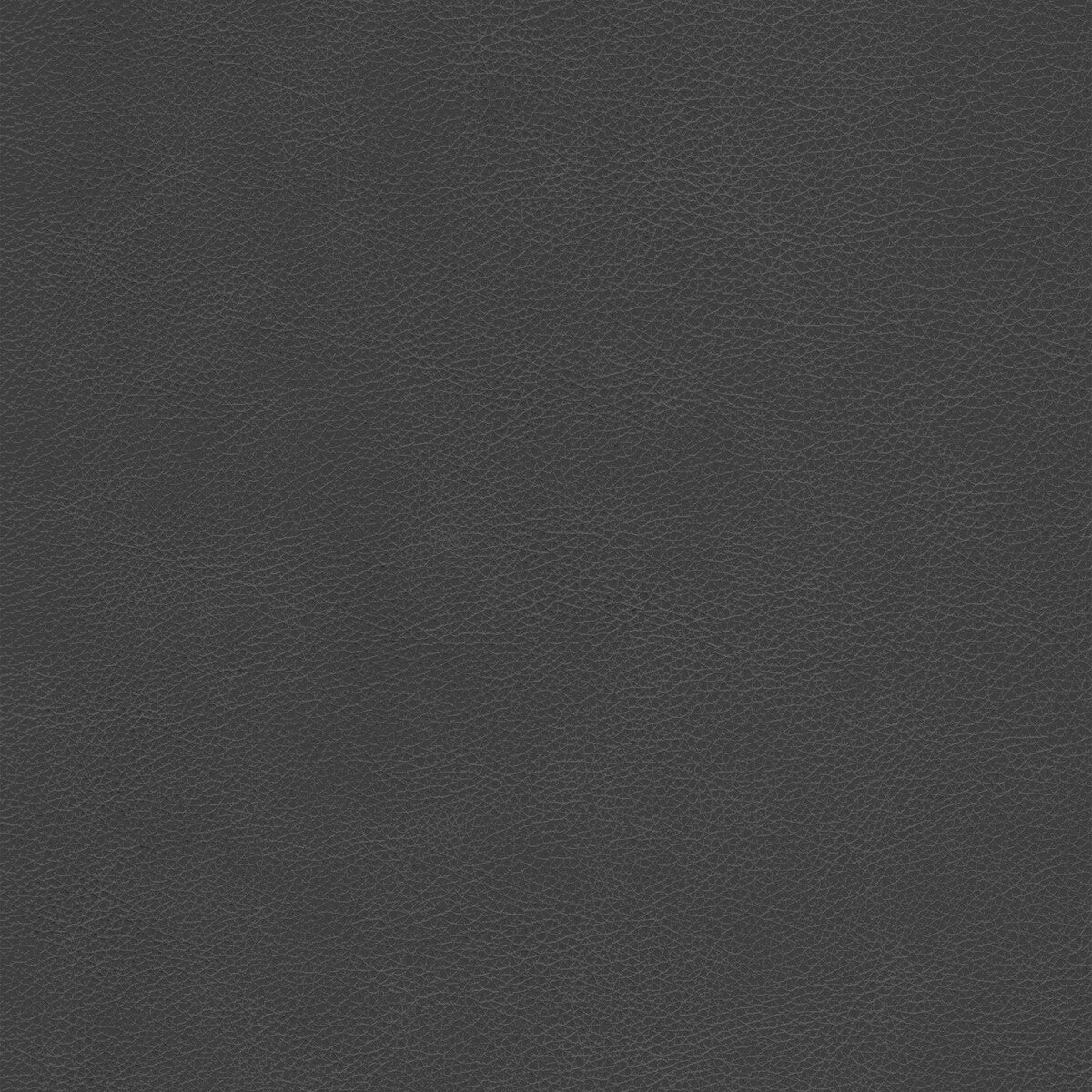 Kravet Design-L-Cimarron-Charcoal