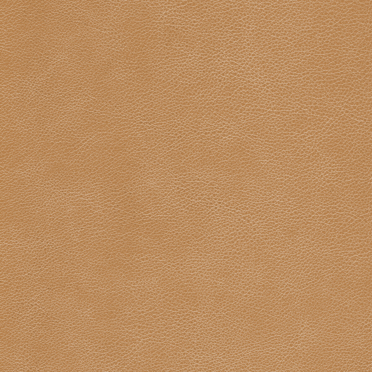 Kravet Design-L-Cimarron-Chestnut