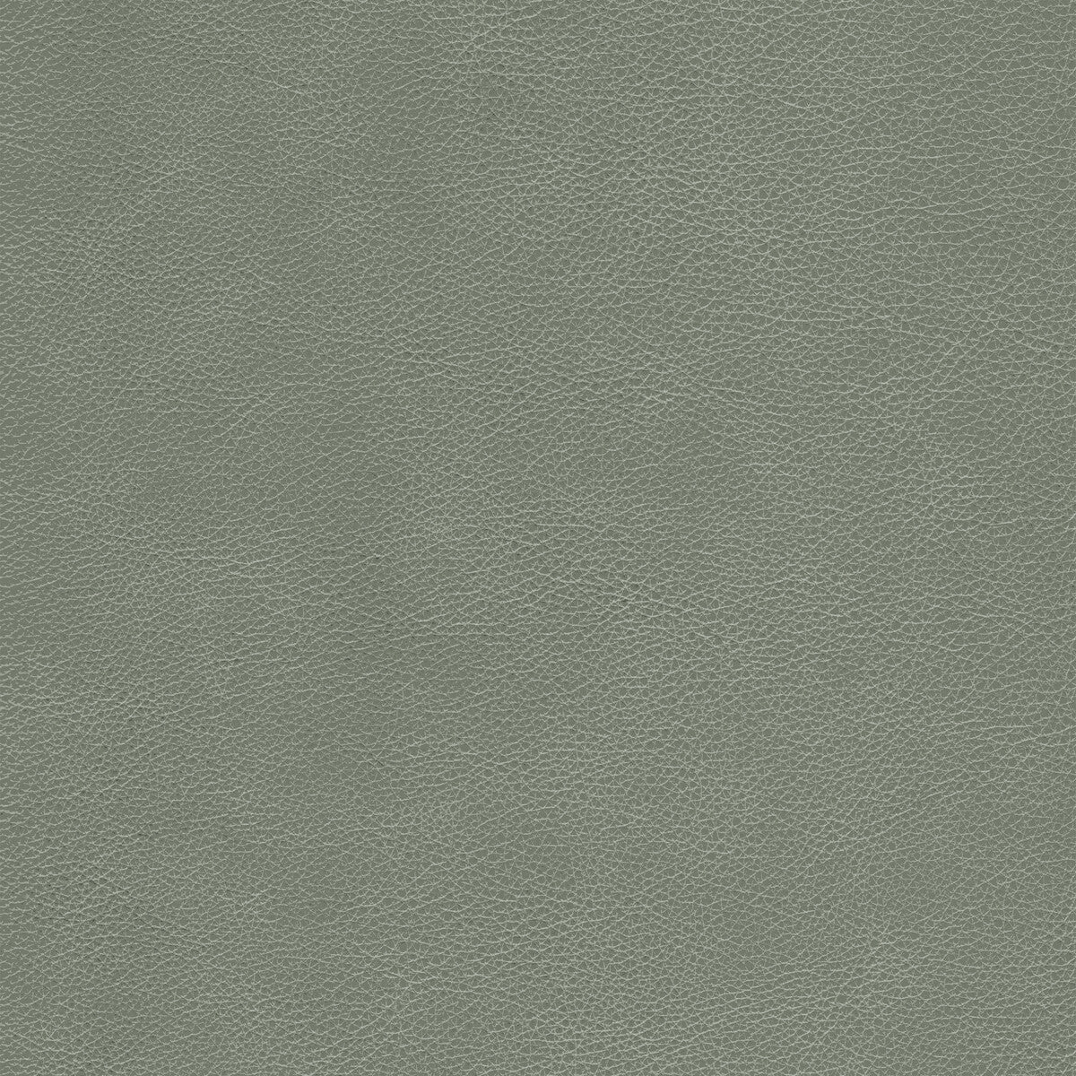 Kravet Design-L-Cimarron-Elephant