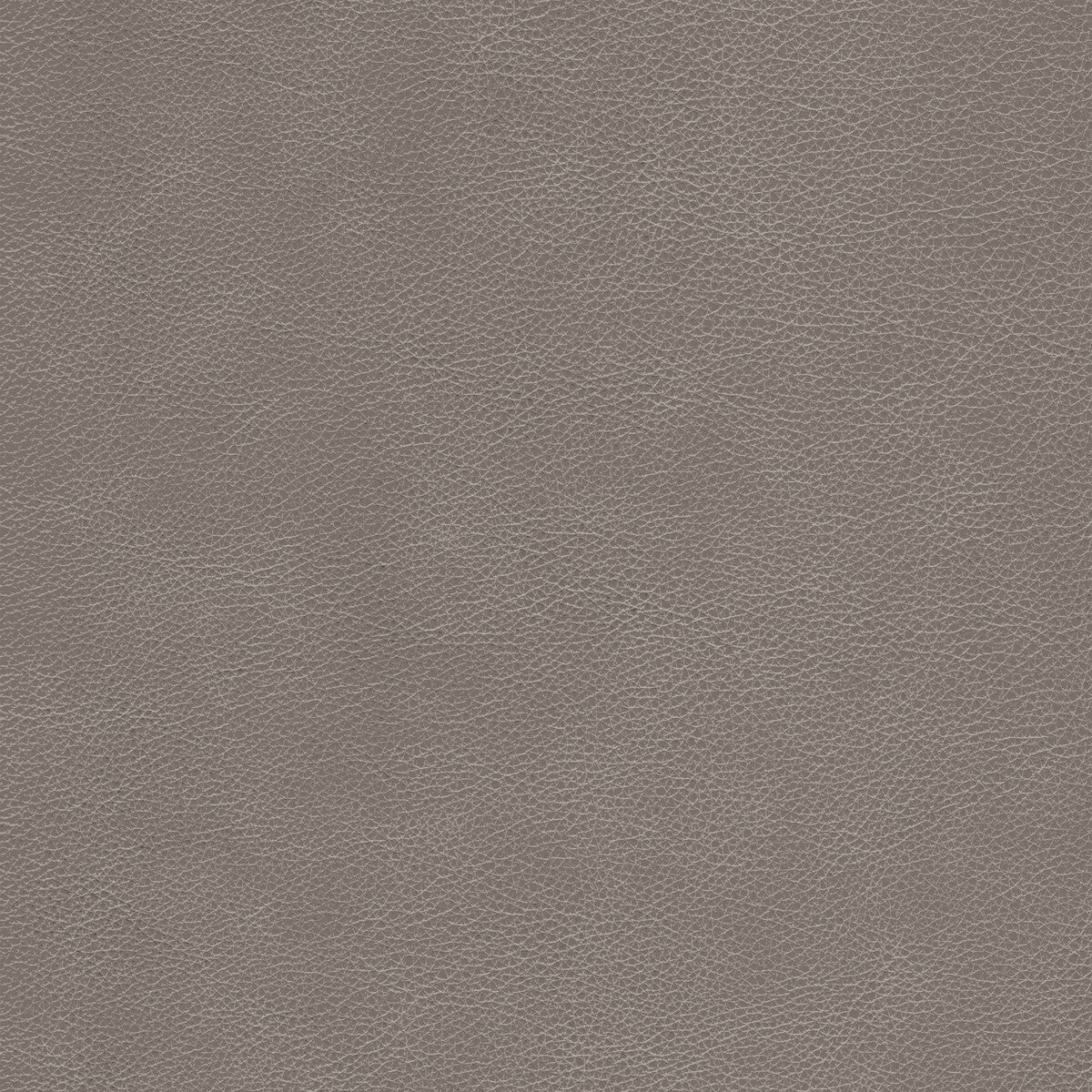 Kravet Design-L-Cimarron-Fawn