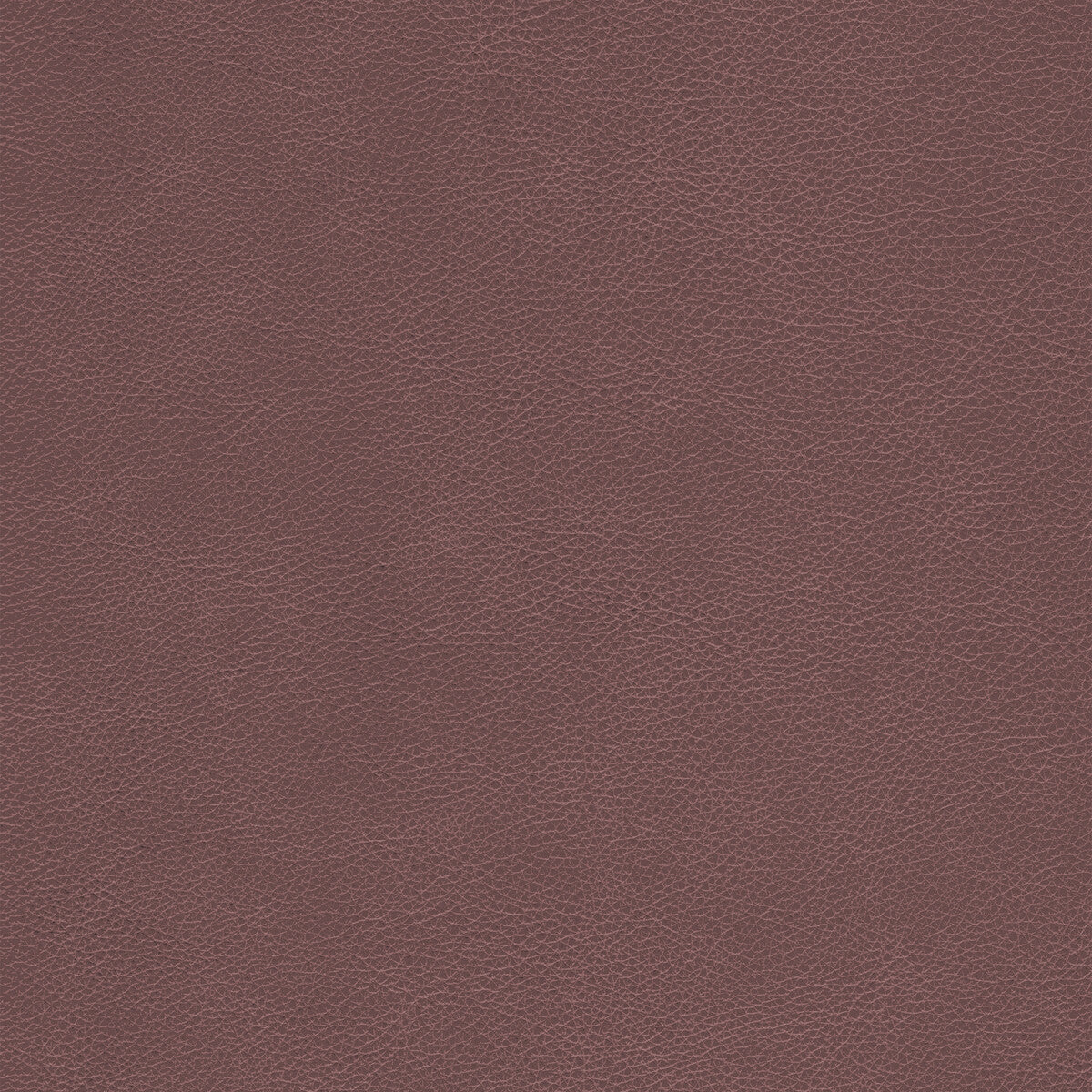 Kravet Design-L-Cimarron-Whiskey