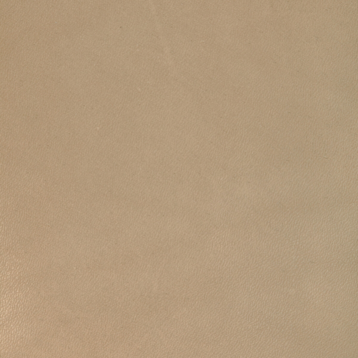 Kravet Design-L-Coiro-Tan