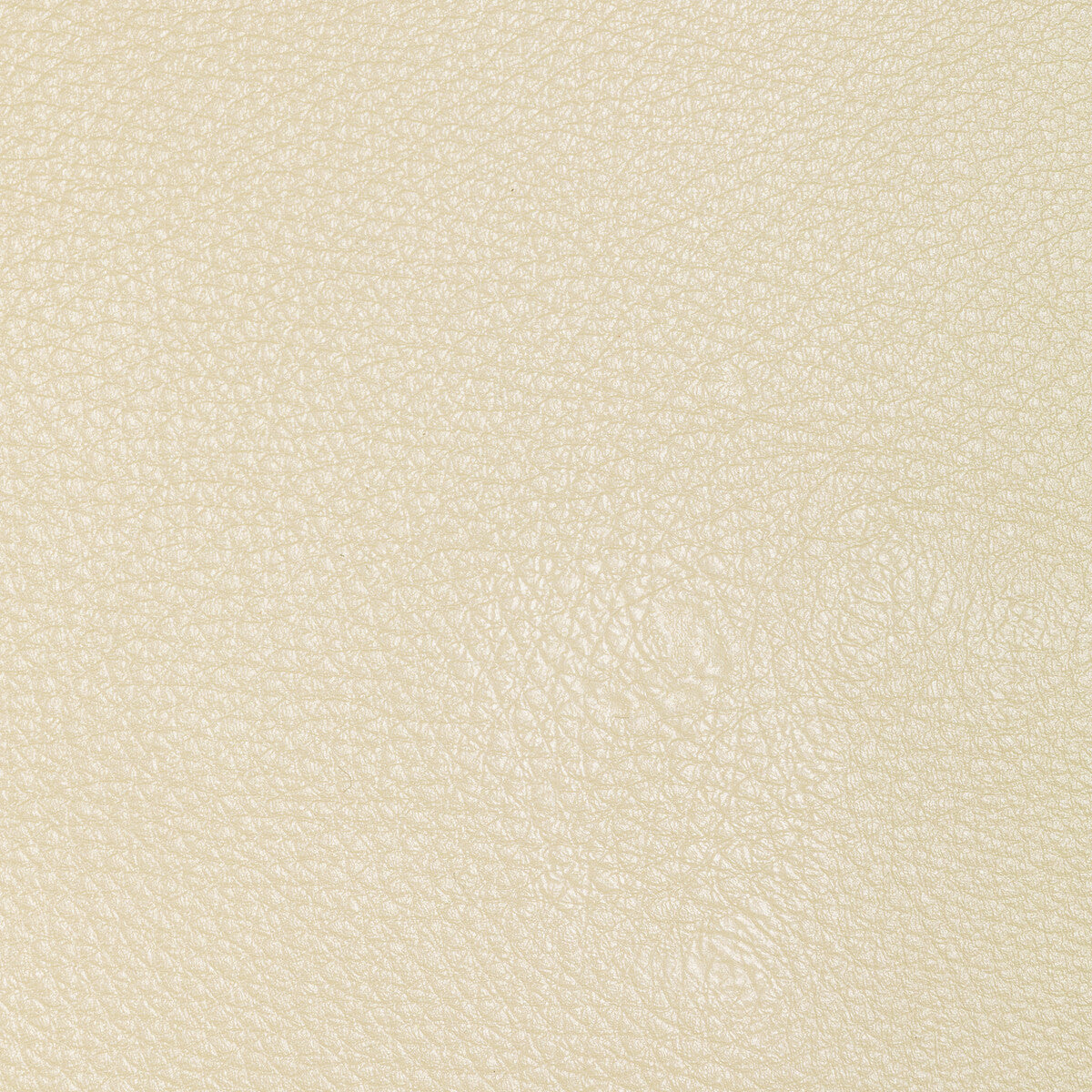 Kravet Design-L-Conchas-Cloud