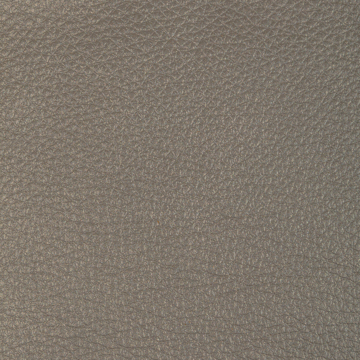 Kravet Design-L-Conchas-Elephant