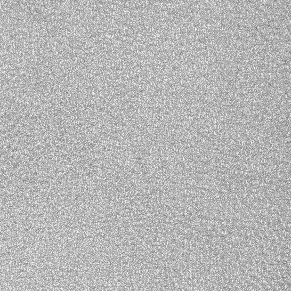 Kravet Design-L-Conchas-Silver