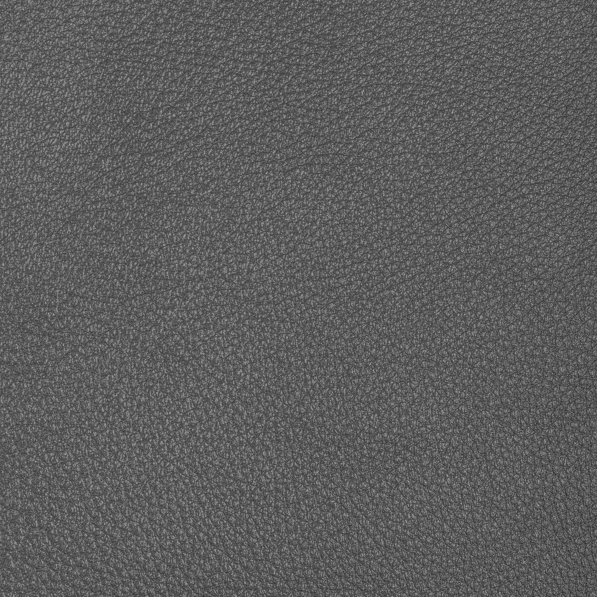 Kravet Design-L-Conchas-Steel