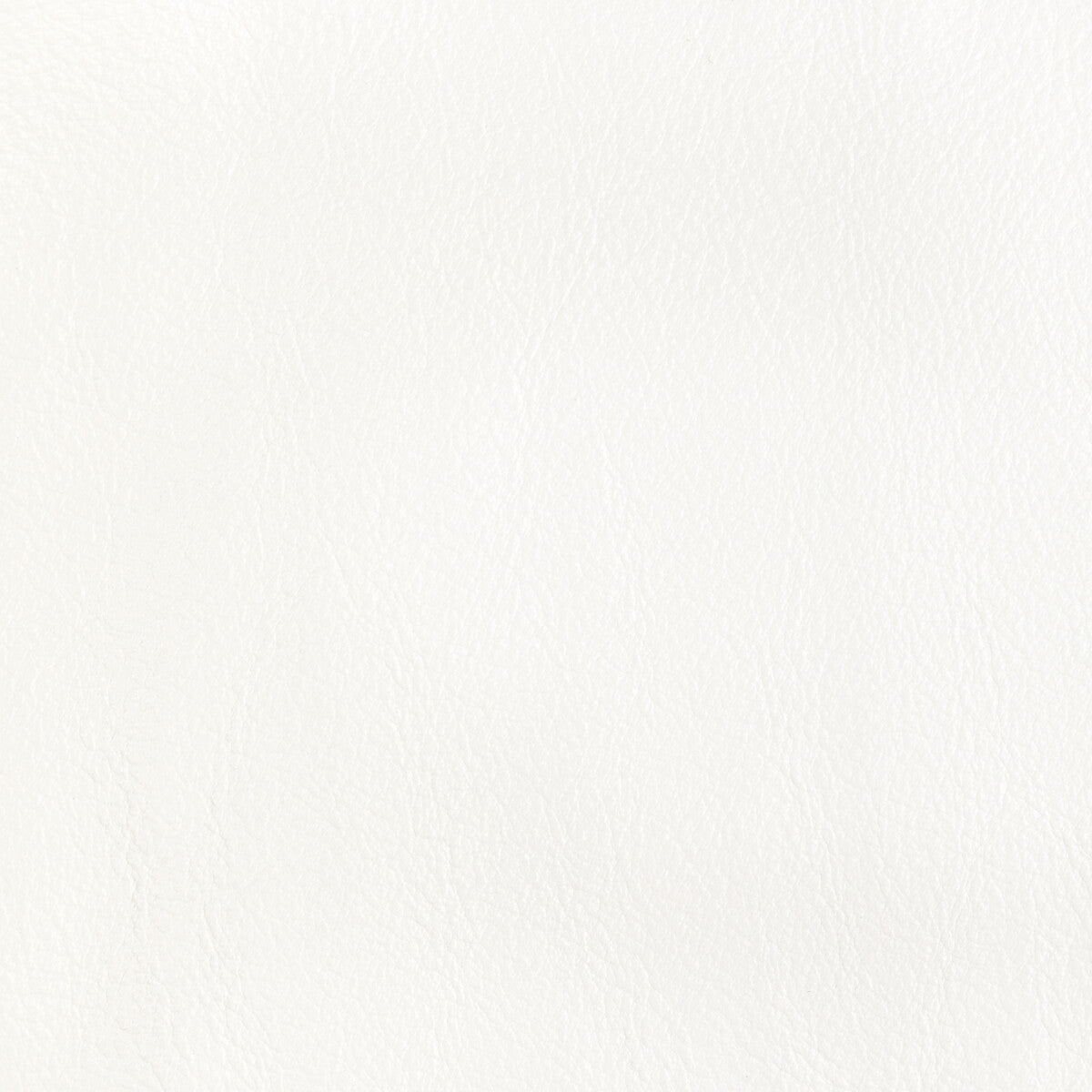 Kravet Design-L-Corrals-Salt