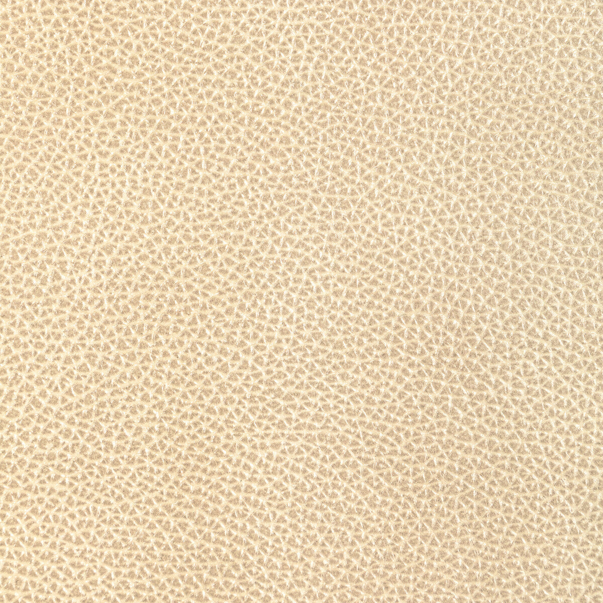 Kravet Design-L-Dixie-Champagne