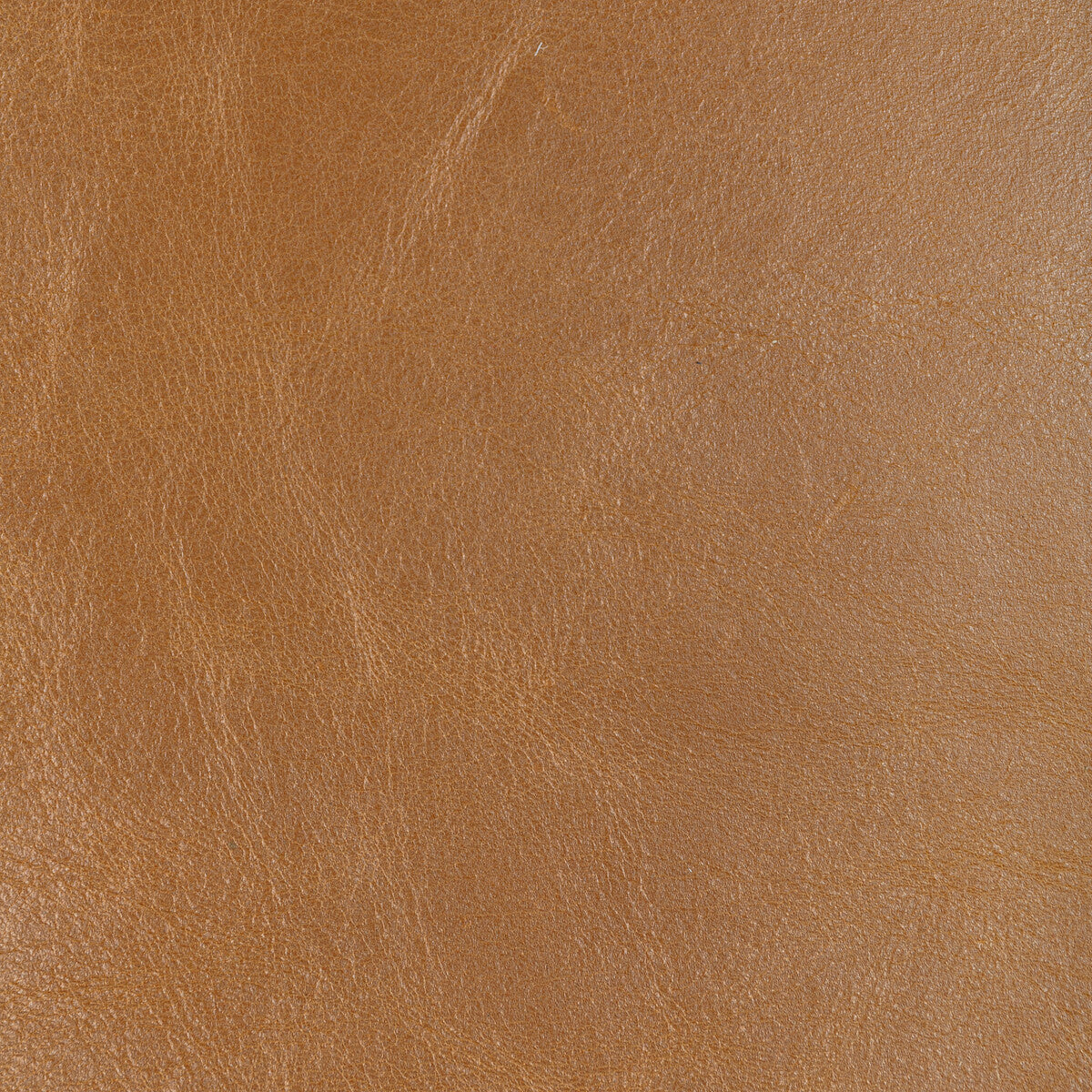 Kravet Design-L-Drovers-Caramel