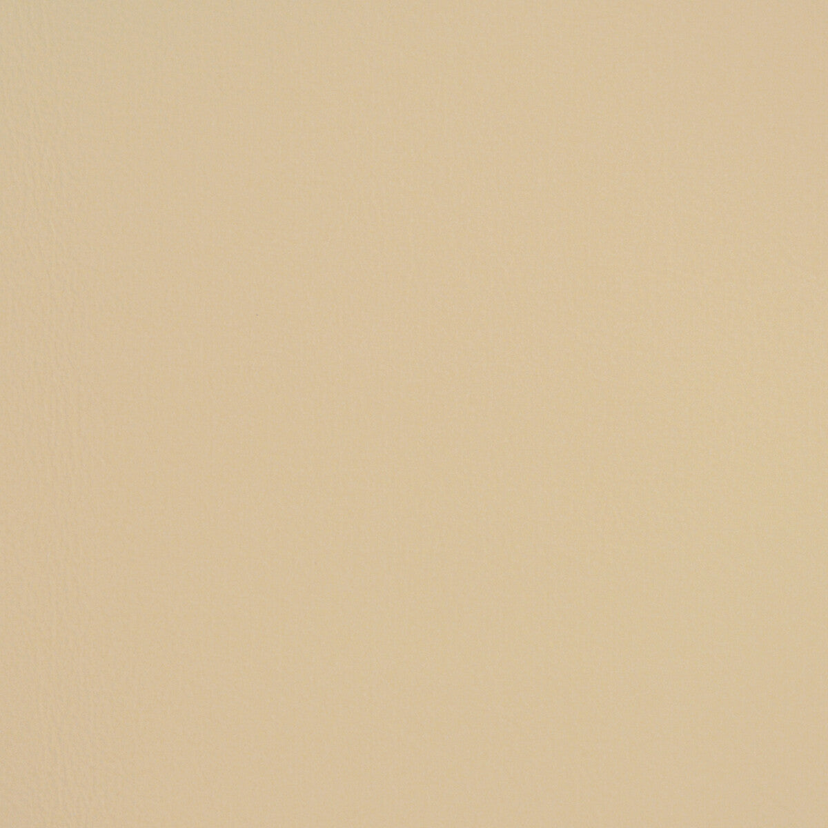 Kravet Design-L-Firenze-Oyster