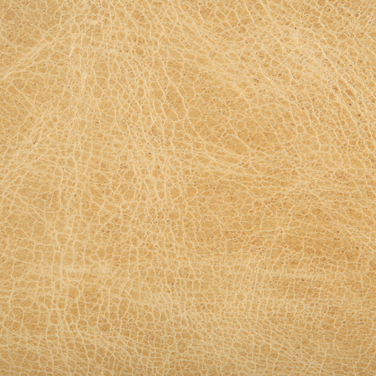 Kravet Couture-L-Haute-Blonde