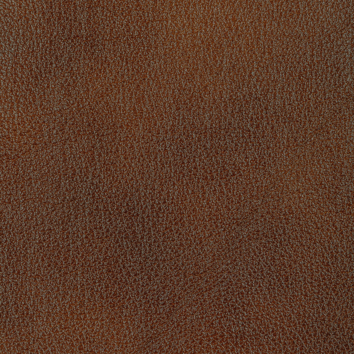 Kravet Design-L-Holt-Syrup