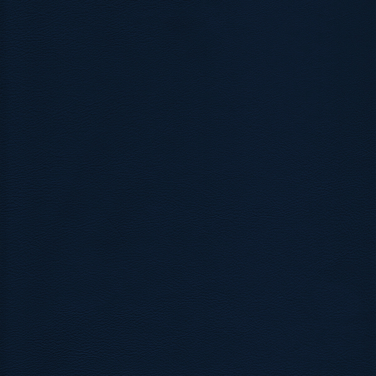 Kravet Design-L-Howdy-Admiral