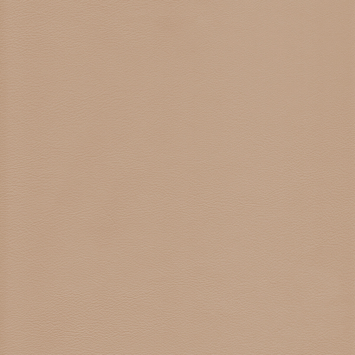 Kravet Design-L-Howdy-Birch