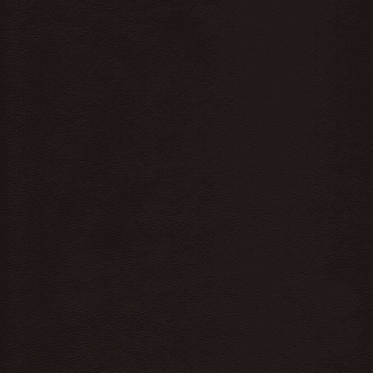 Kravet Design-L-Howdy-Cappuccino