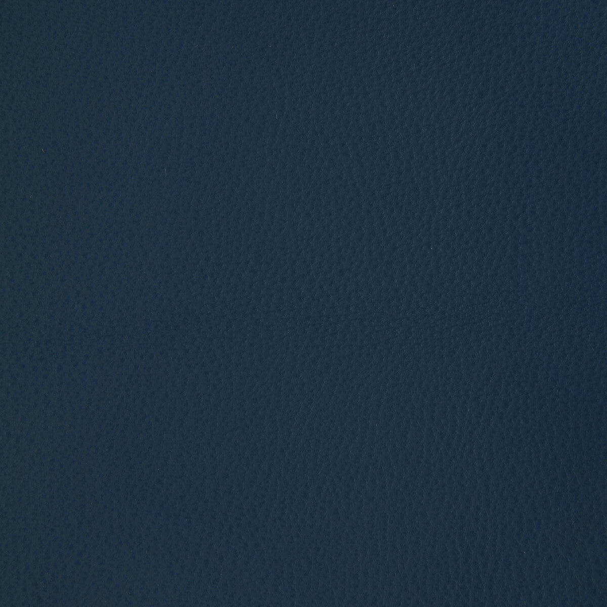 Kravet Design-L-Howdy-Capri