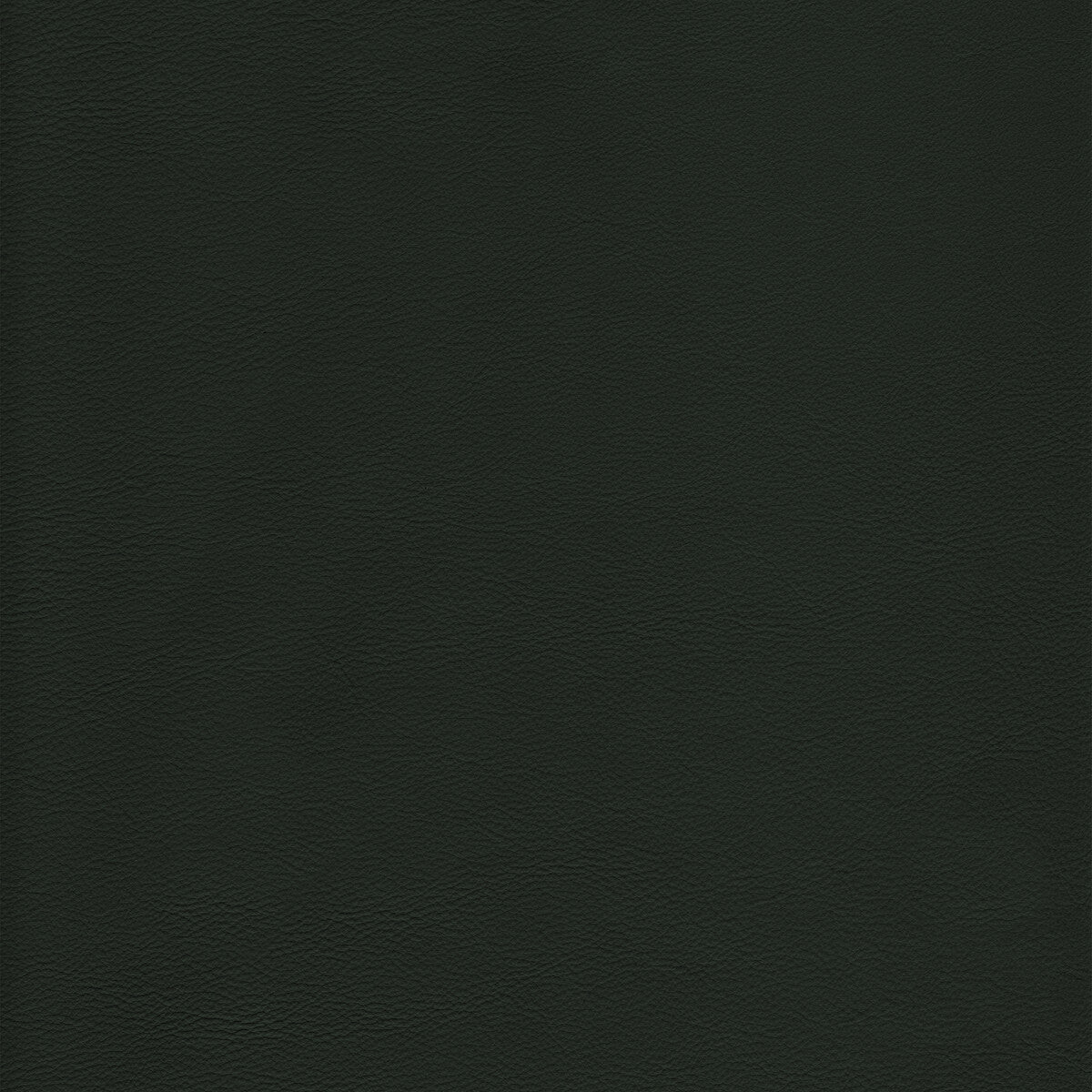 Kravet Design-L-Howdy-Evergreen