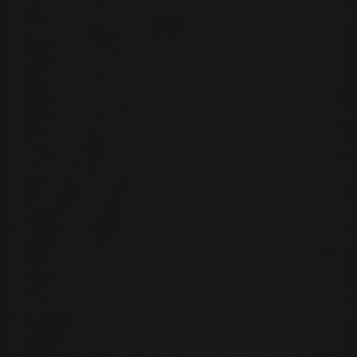 Kravet Design-L-Howdy-Noir