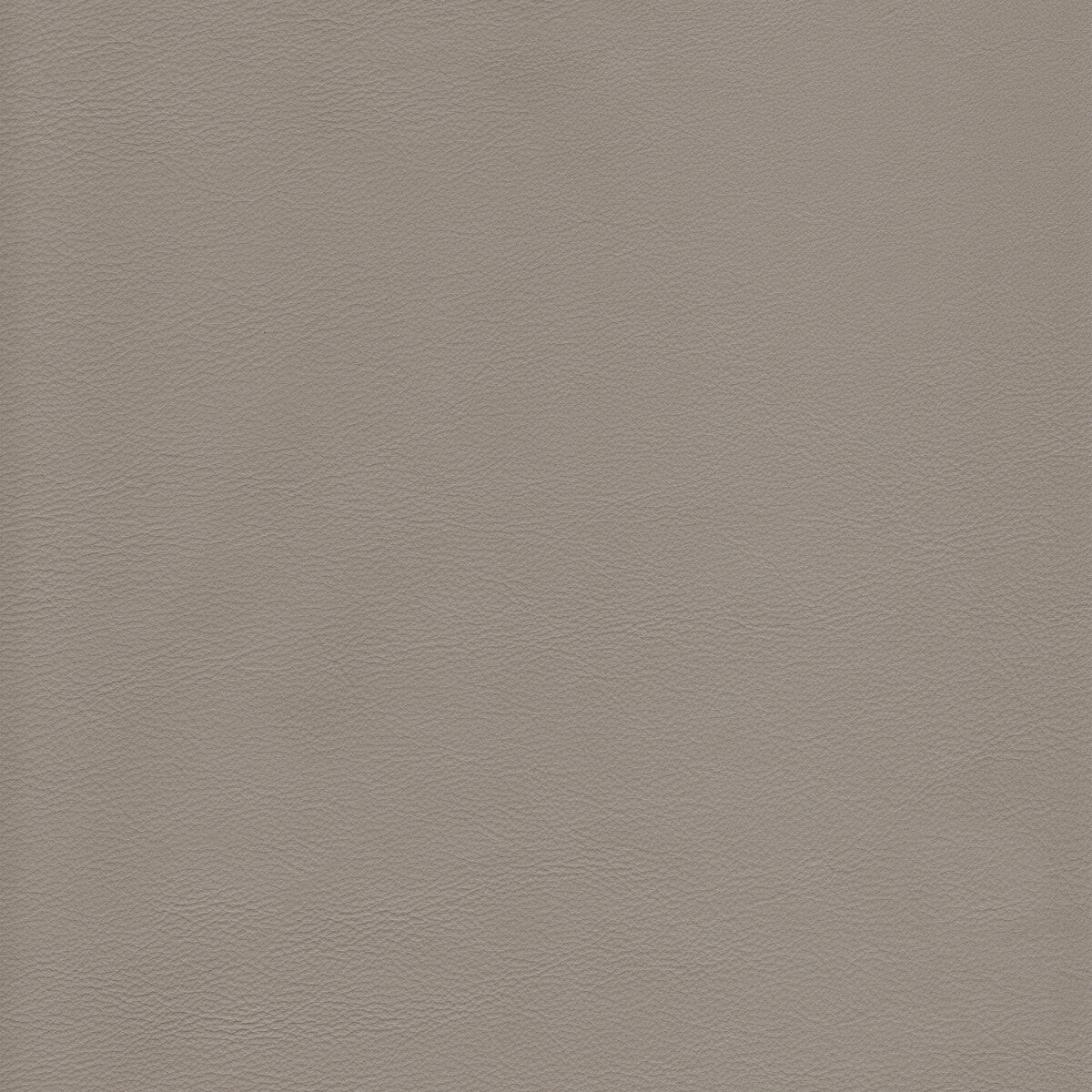 Kravet Design-L-Howdy-Slate