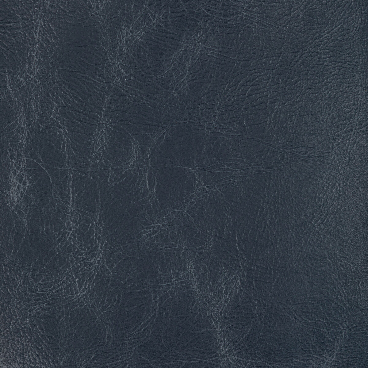 Kravet Design-L-Jockey-Slate