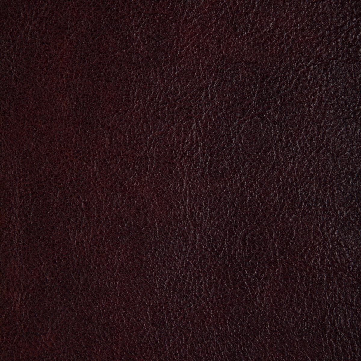 Kravet Design-L-Laramie-Lacquer